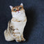 3D Cat Plush