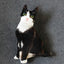 3D Cat Plush