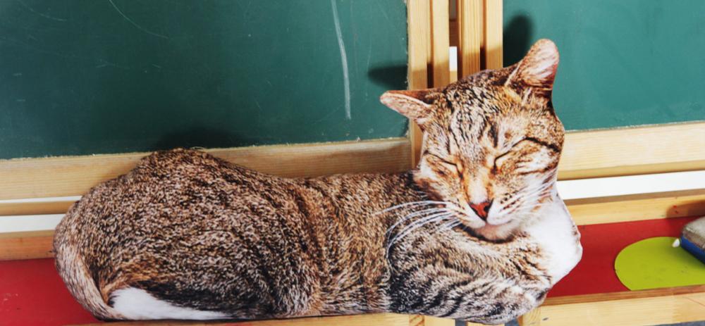 3D Cat Plush - Stripe Sleeping