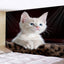 3D Cat Tapestry - 90x60cm - Cat Tapestry