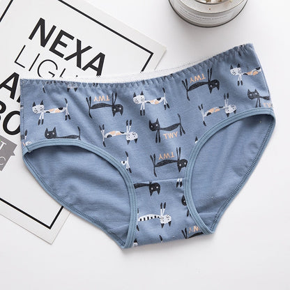 5pcs-lot-cat-panties