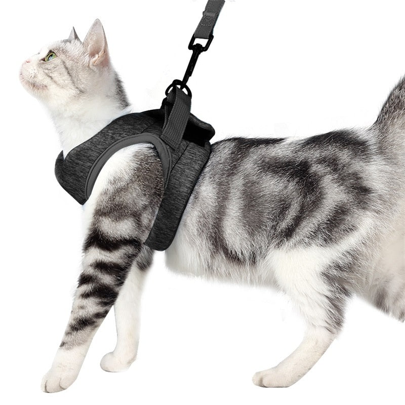 Adjustable Cat Harness - Gray / S - cat harness leash