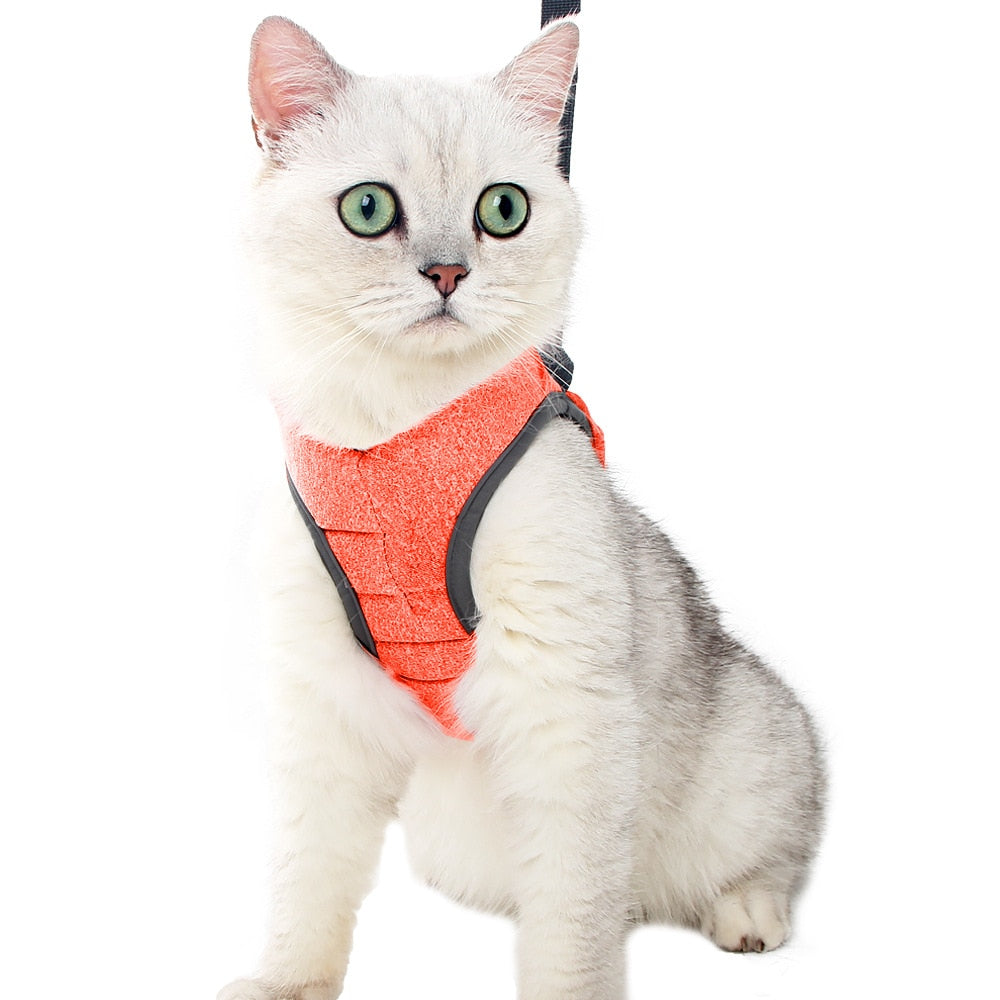 Adjustable Cat Harness - Orange / S - cat harness leash