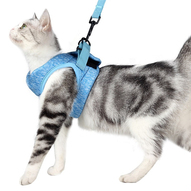 Adjustable Cat Harness - Blue / S - cat harness leash