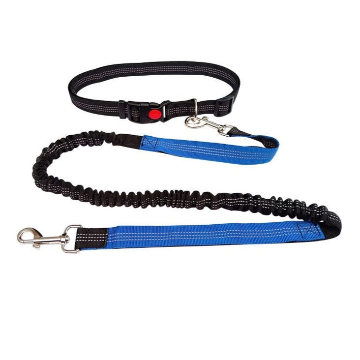 Adjustable Cat Leash - Blue - cat harness leash