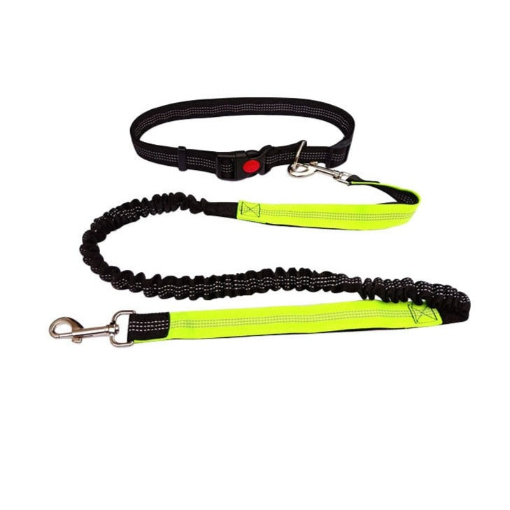 Adjustable Cat Leash - Yellow - cat harness leash