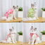 After Surgery Cat Clothes - Clothes for cats