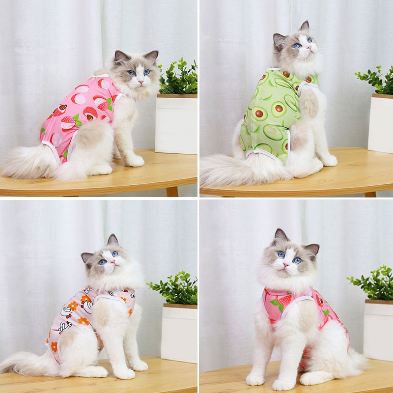 After Surgery Cat Clothes - Clothes for cats