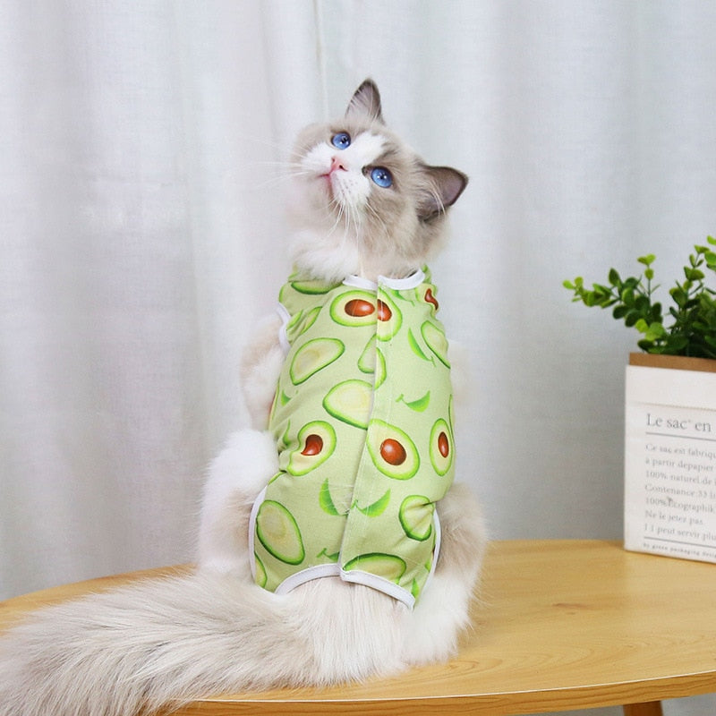 After Surgery Cat Clothes - Green / S - Clothes for cats