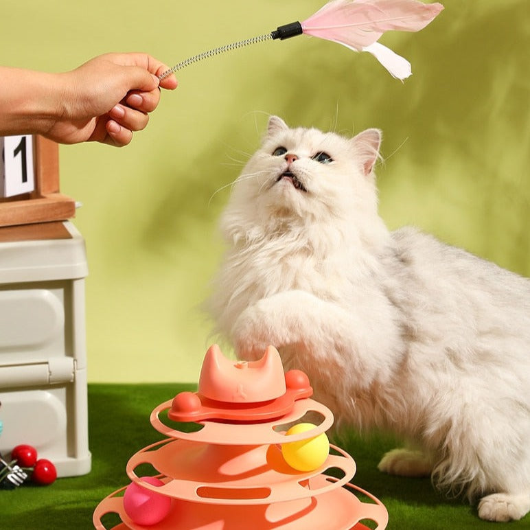 Amusement Plate Cat Toy - Cat Toys