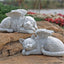 Angel Cat Figurine