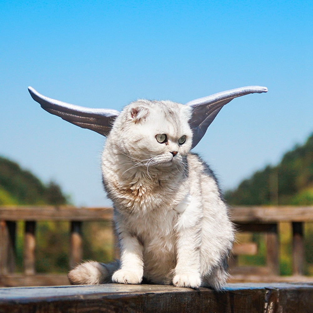 Angel Costume for Cats
