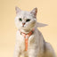 Angel Wing Cat Walking Leash - cat harness leash
