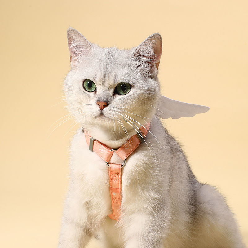 Angel Wing Cat Walking Leash - cat harness leash
