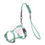 Angel Wing Cat Walking Leash - Green / S - cat harness leash