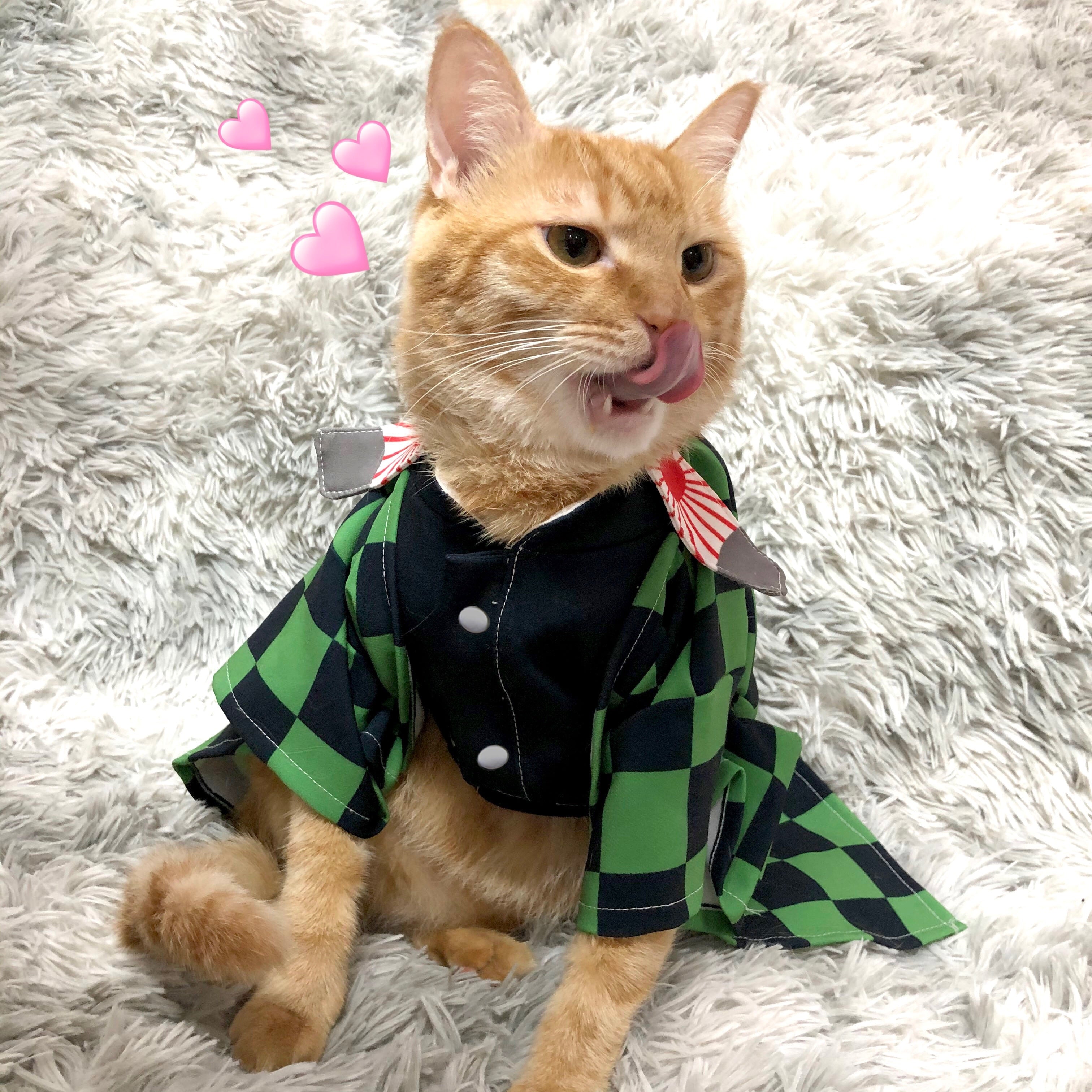 Anime Costumes for Cats