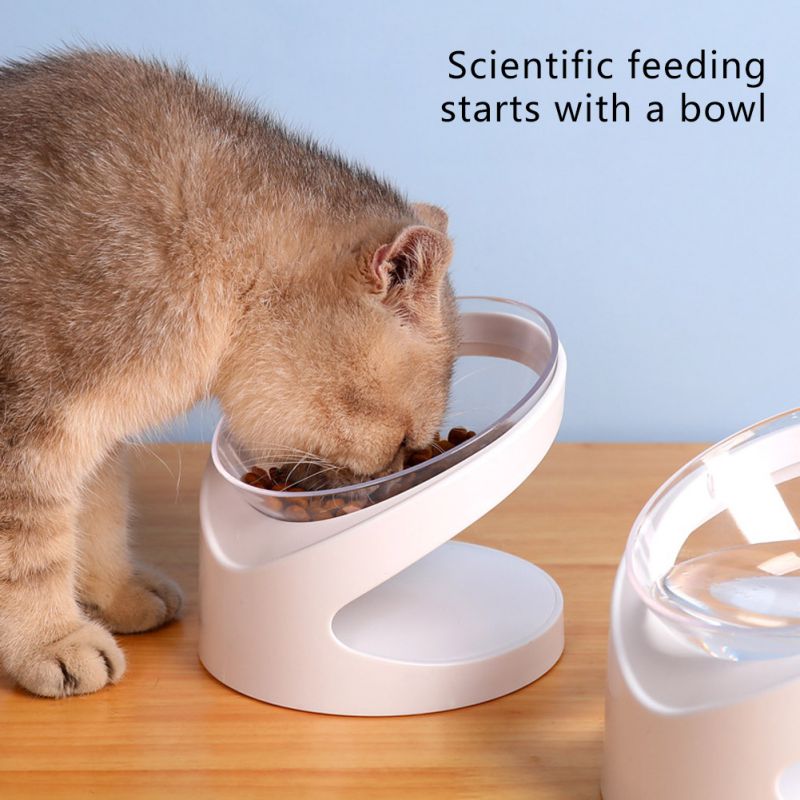 Anti Vomiting Cat Bowl - Cat Bowls