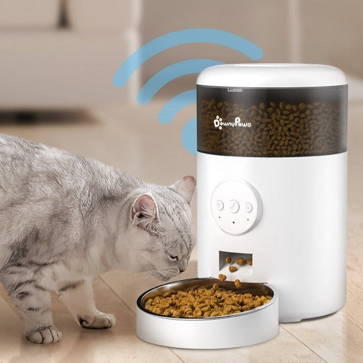Auto Cat Food Dispenser - Cat Food Dispenser