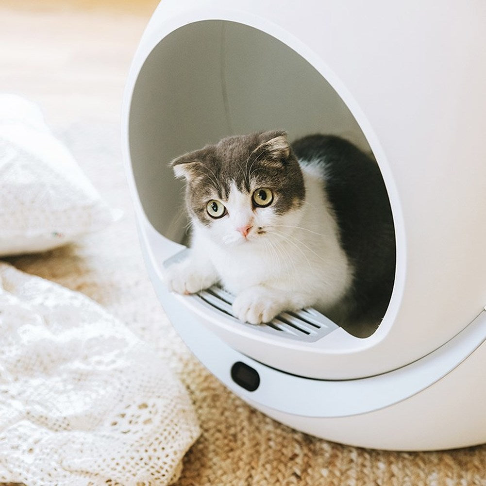 Auto Cat Litter Box - Cat litter Box