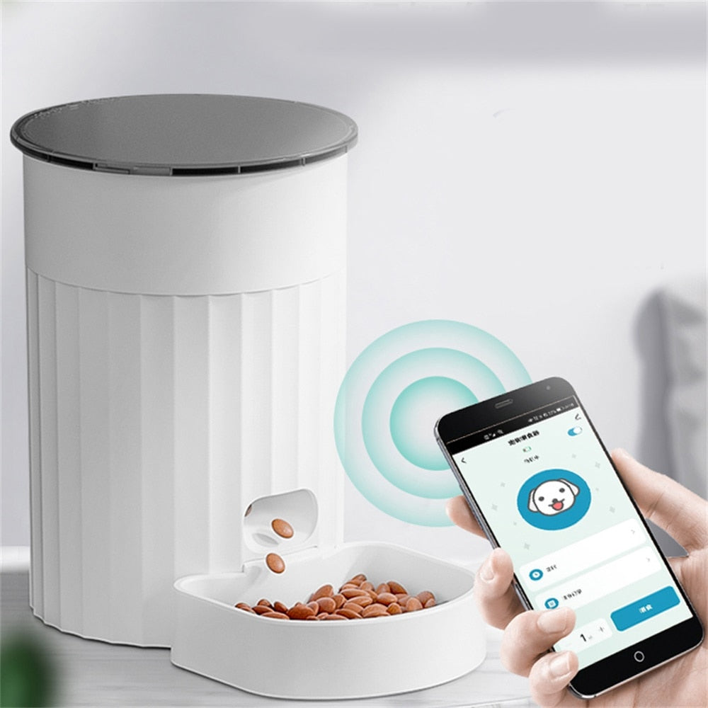 Automatic Canned Cat Food Dispensers - automatic cat food