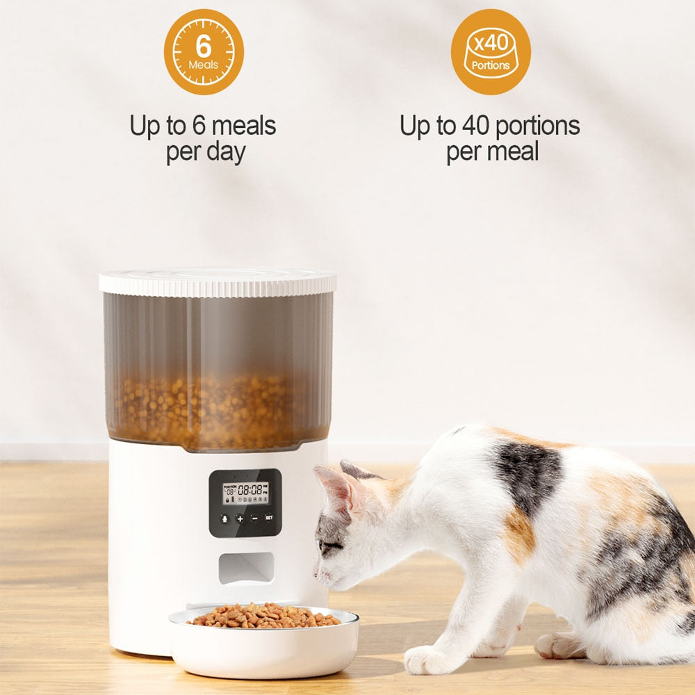 Automatic Food Dispenser for Cats - automatic cat food