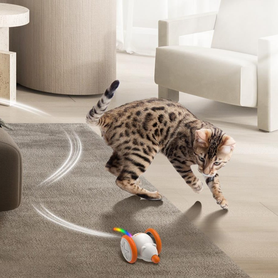 Automatic Interactive Cat Toy - Cat Toys