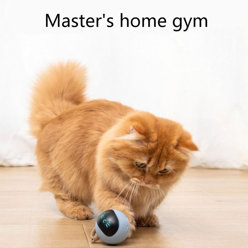 Automatic Smart Cat Toy - Cat Toys