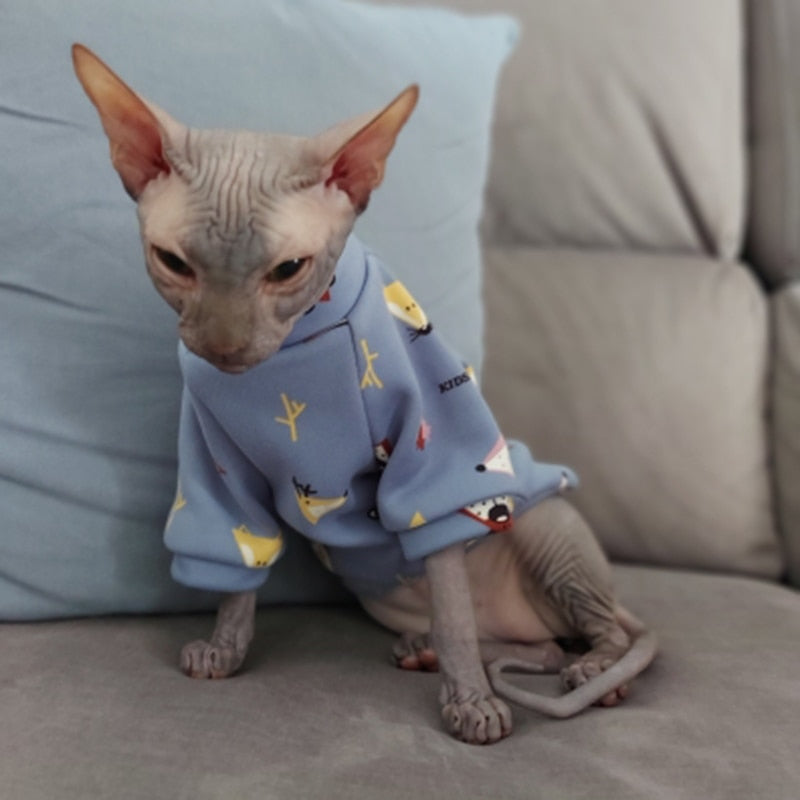 Autumn Clothes for Cats - Clothes for cats
