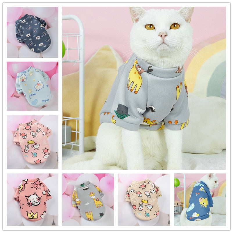 Autumn Clothes for Cats - Clothes for cats