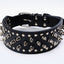 Badass Cat Collars - Cat collars