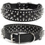 Badass Cat Collars - Cat collars