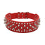 Badass Cat Collars - Cat collars