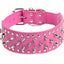 Badass Cat Collars - Cat collars