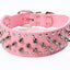 Badass Cat Collars - Cat collars