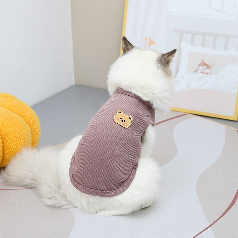 Bear Clothes for Cats - Purple / S - Clothes for cats