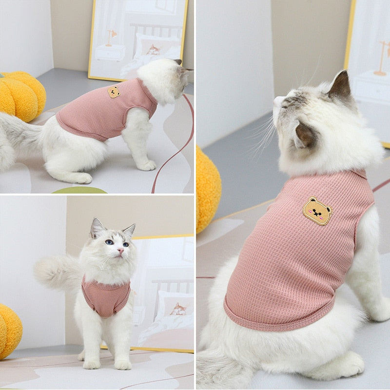 Bear Clothes for Cats - Clothes for cats