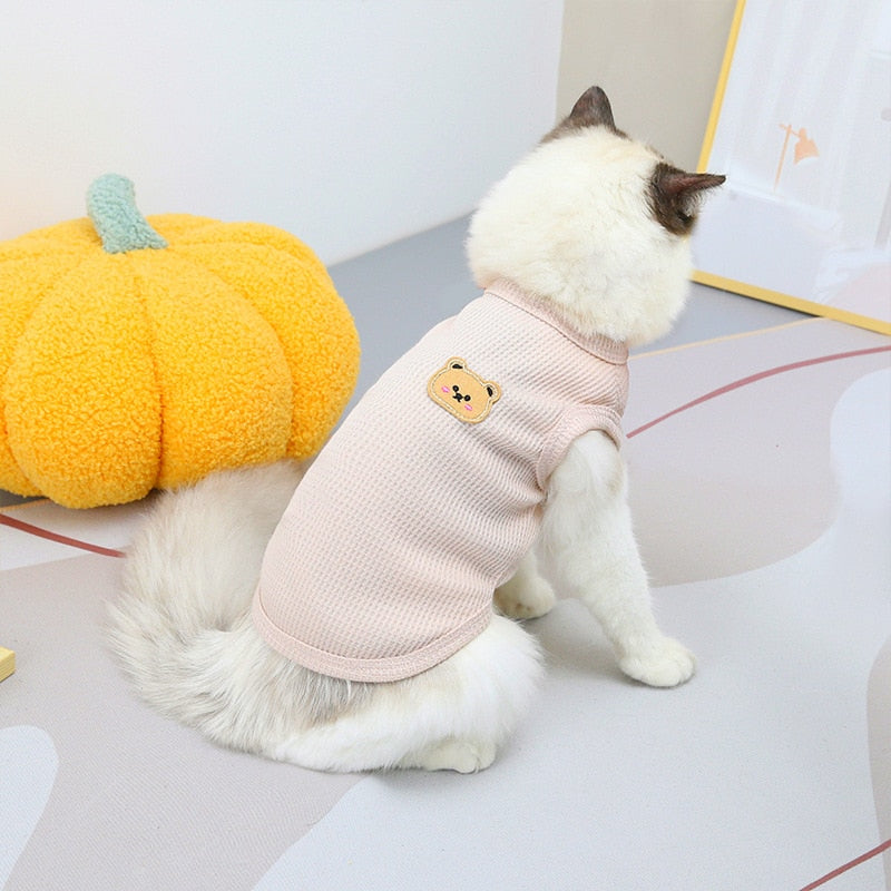 Bear Clothes for Cats - White / S - Clothes for cats