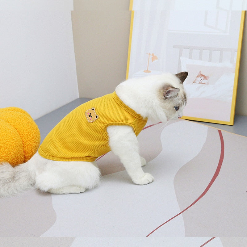 Bear Clothes for Cats - Yellow / S - Clothes for cats