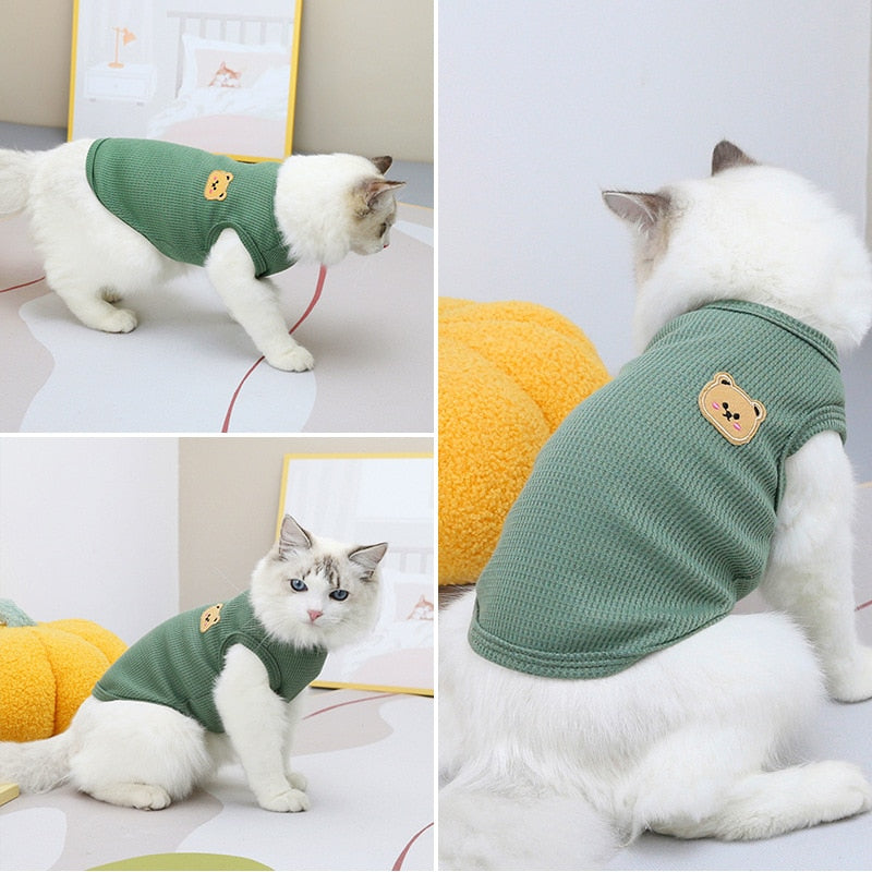 Bear Clothes for Cats - Clothes for cats
