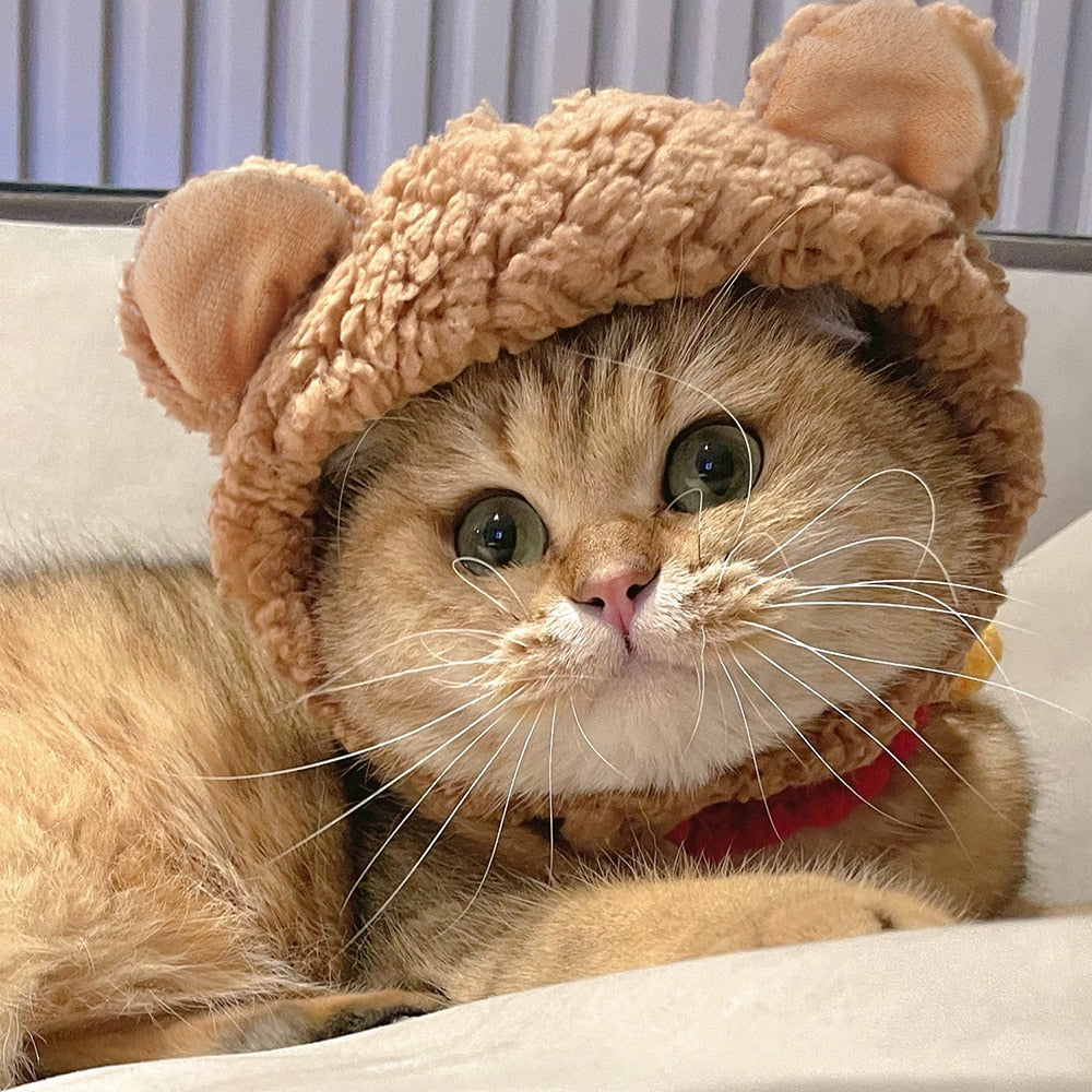 Bear Hat for Cats - Hat for Cats