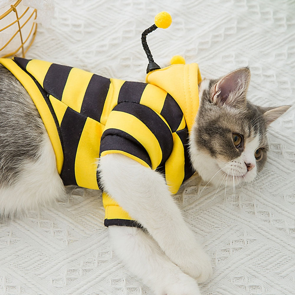 Bee Costume for Cats