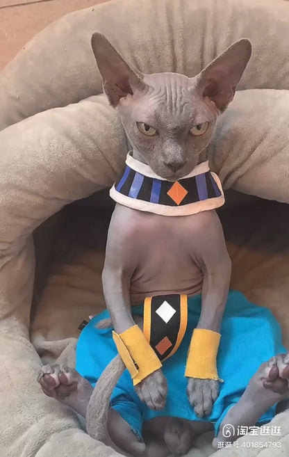 Beerus Costume for Cat