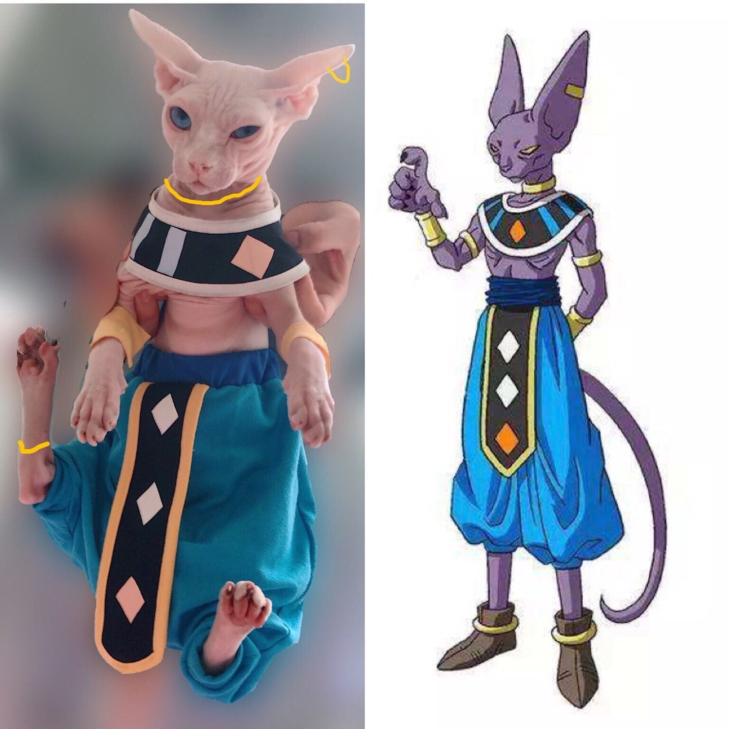 Beerus Costume for Cat