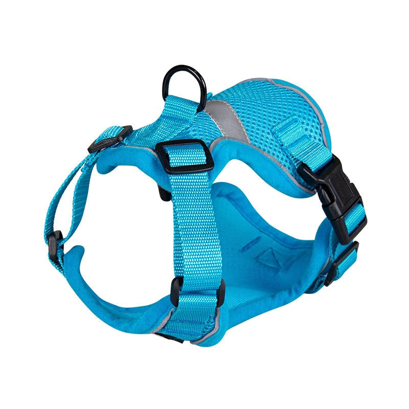 Bengal Cat Harness - Blue / XS - cat harness leash