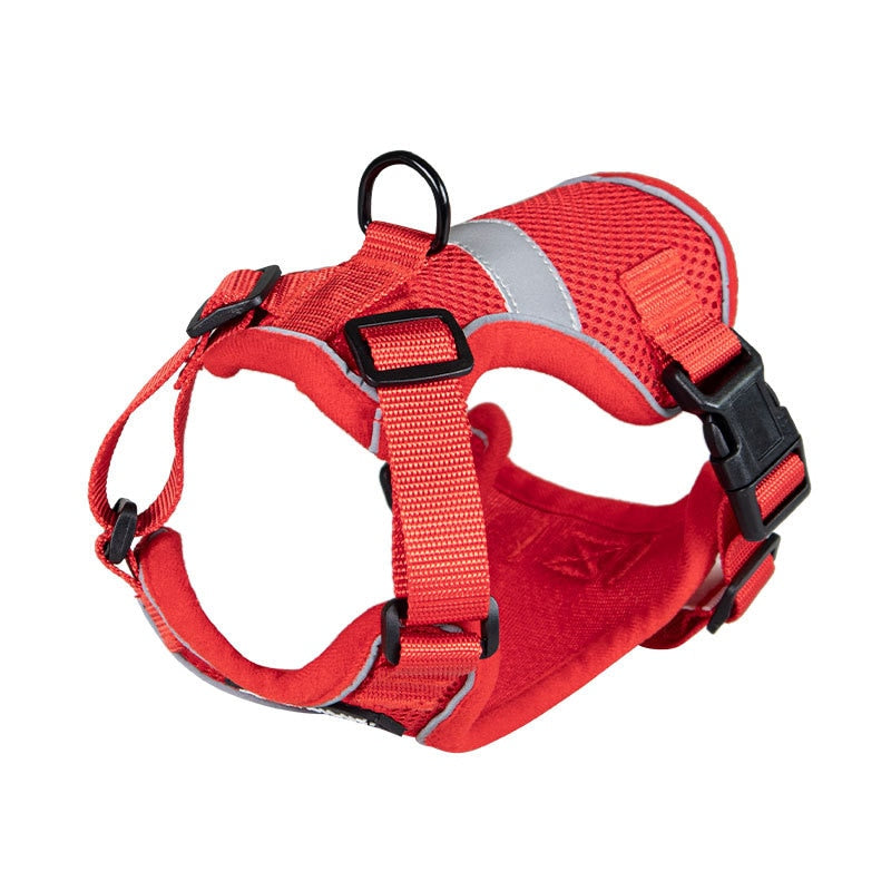 Bengal Cat Harness - Red / XS - cat harness leash