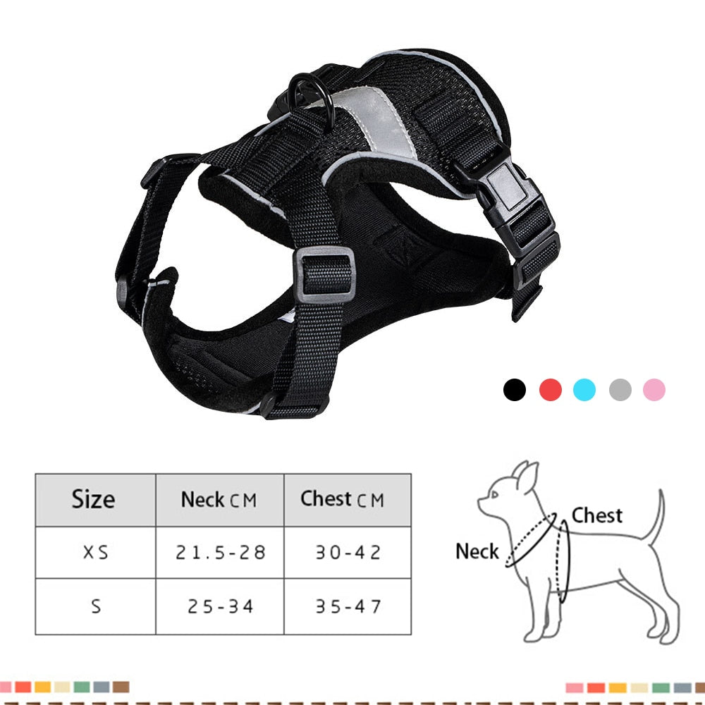 Bengal Cat Harness - cat harness leash