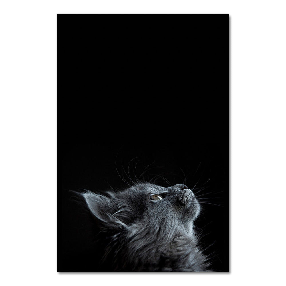 Big Cat Posters - 20x30cm No Frame / Side - Cat poster