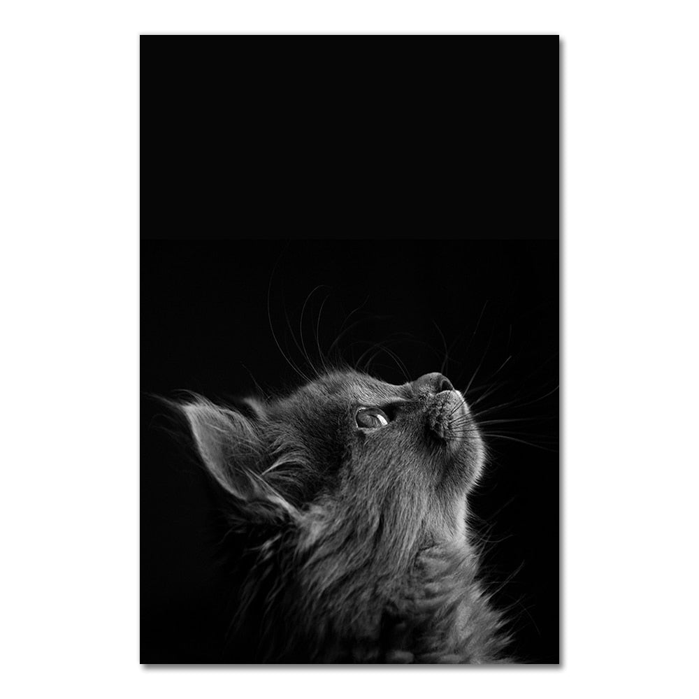 Big Cat Posters - 20x30cm No Frame / Head - Cat poster