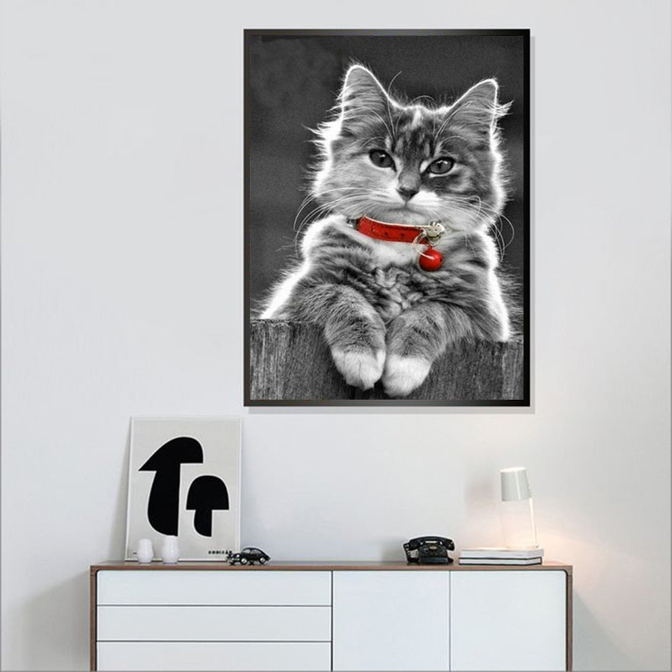 Black and White Cat Diamond Painting