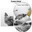 Black and White Cat Painting